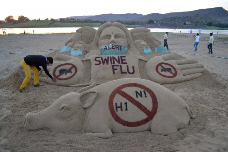 swine flu india