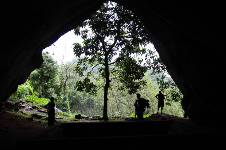 humans lived in rainforest