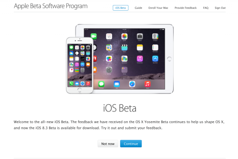 iOS Beta Program