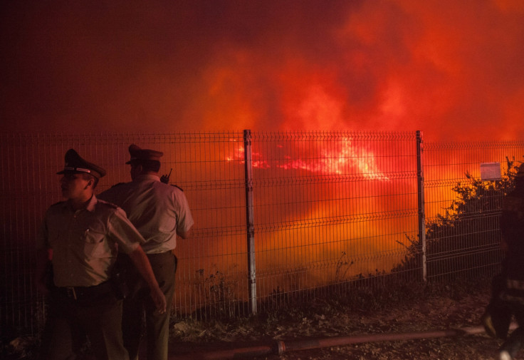 Chile forest fire