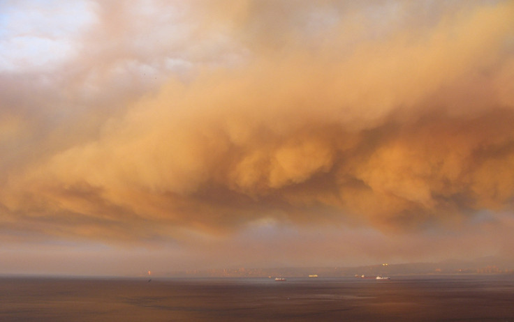 Chile forest fire