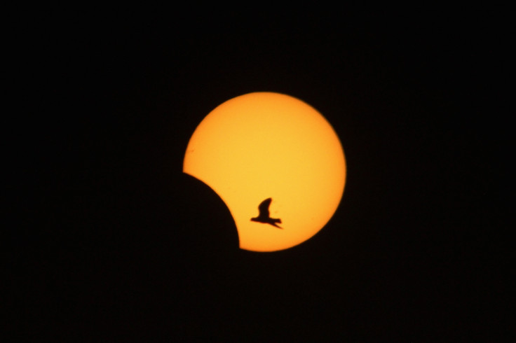 solar eclipse lebanon