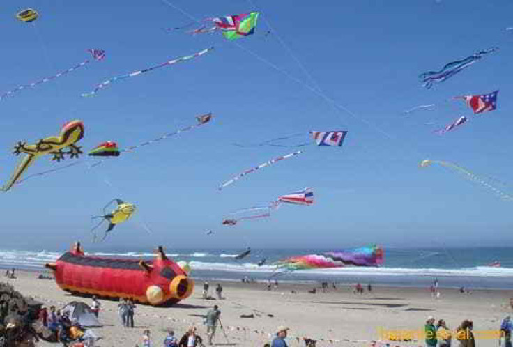 Kite festivals in Vietnam