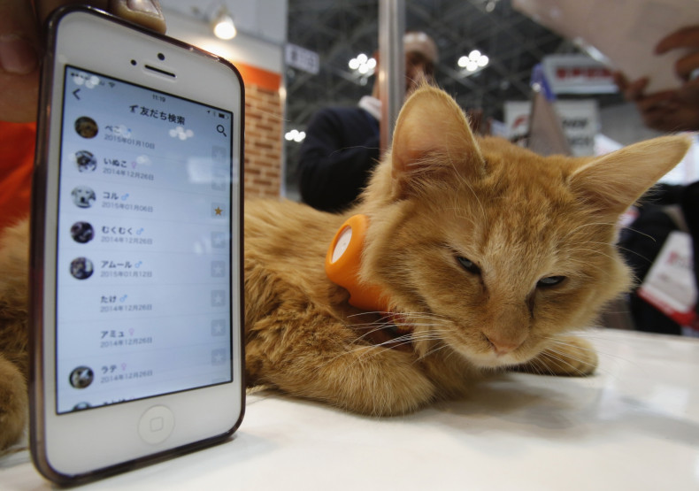 Internet of Things will monitor pets soon