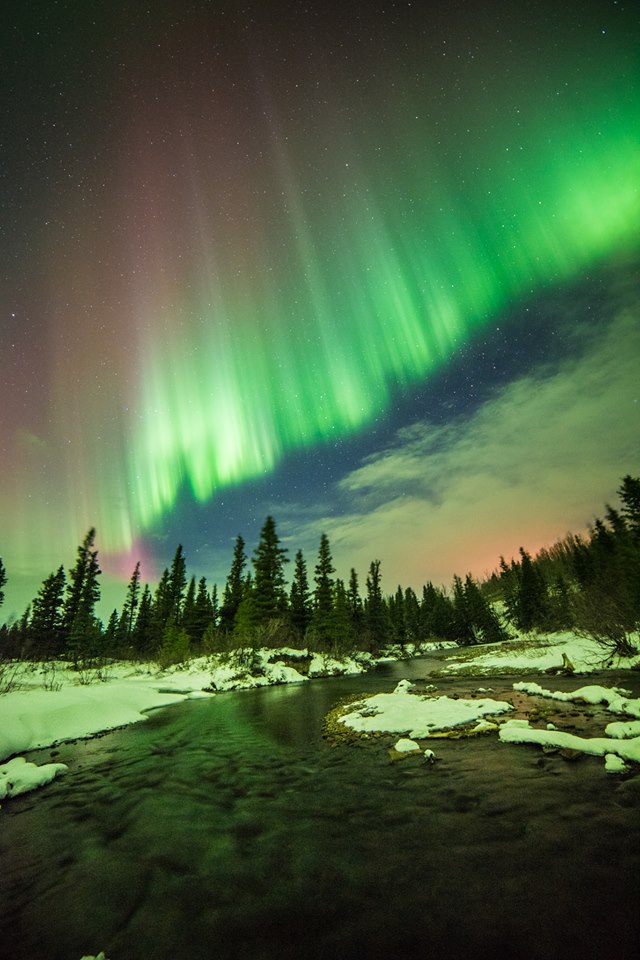 aurora borealis: photos of northern lights over alaska following