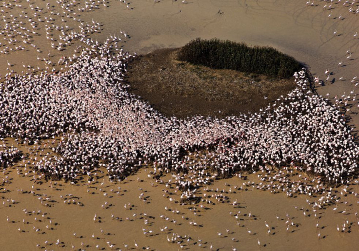 Doñana wetlands