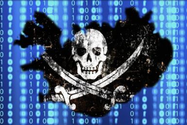 pirate party iceland birgitta Wikileaks