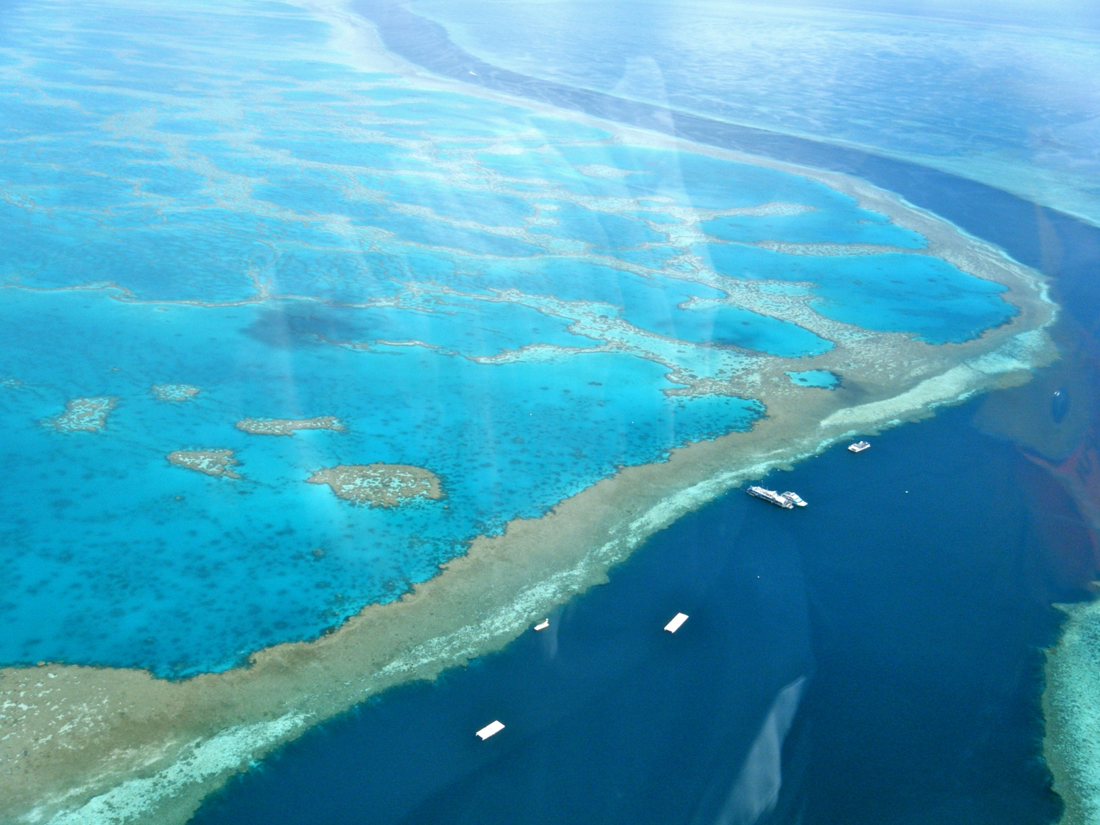 The Great Barrier Reef