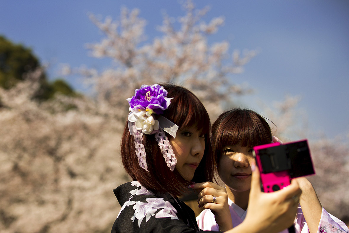 cherry blossom selfies japan
