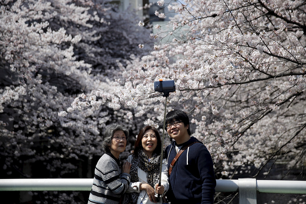 cherry blossom selfies japan