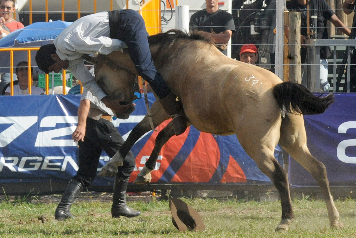 Criolla gaucho rodeo Montevideo Uruguay