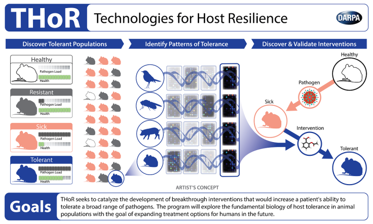 Darpa Thor antibiotics host resilience