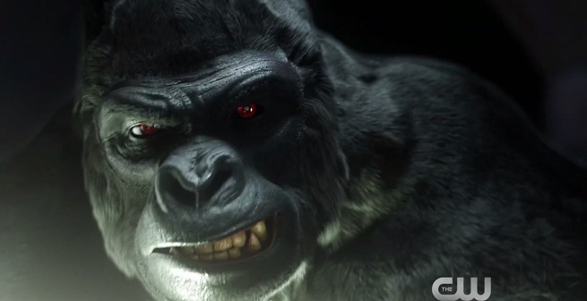 gorilla grodd flash