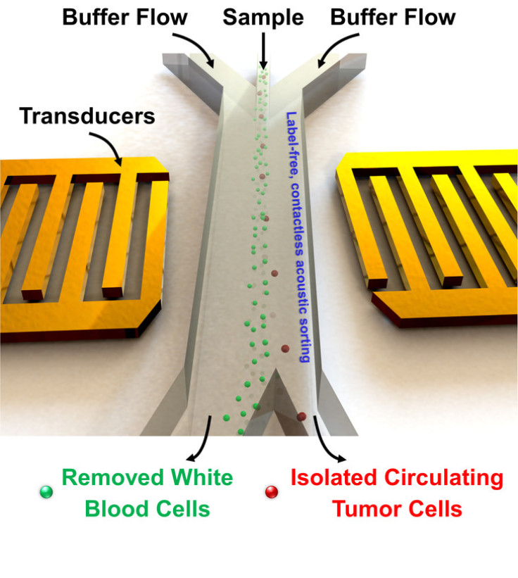 CELL SEPARATION