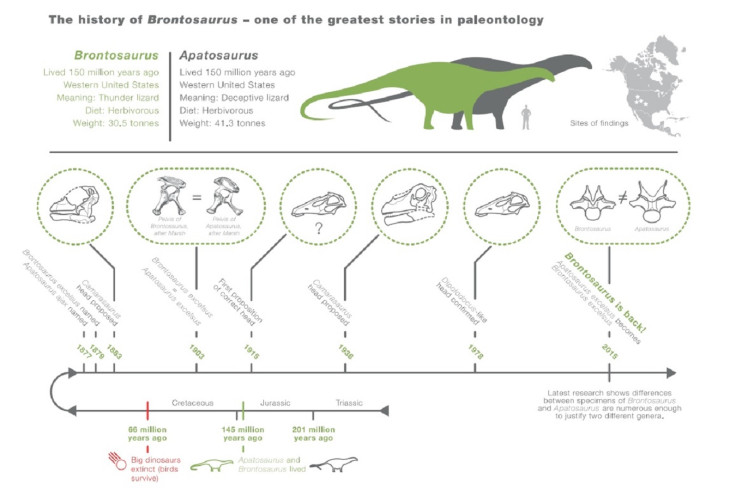 Brontosaurus