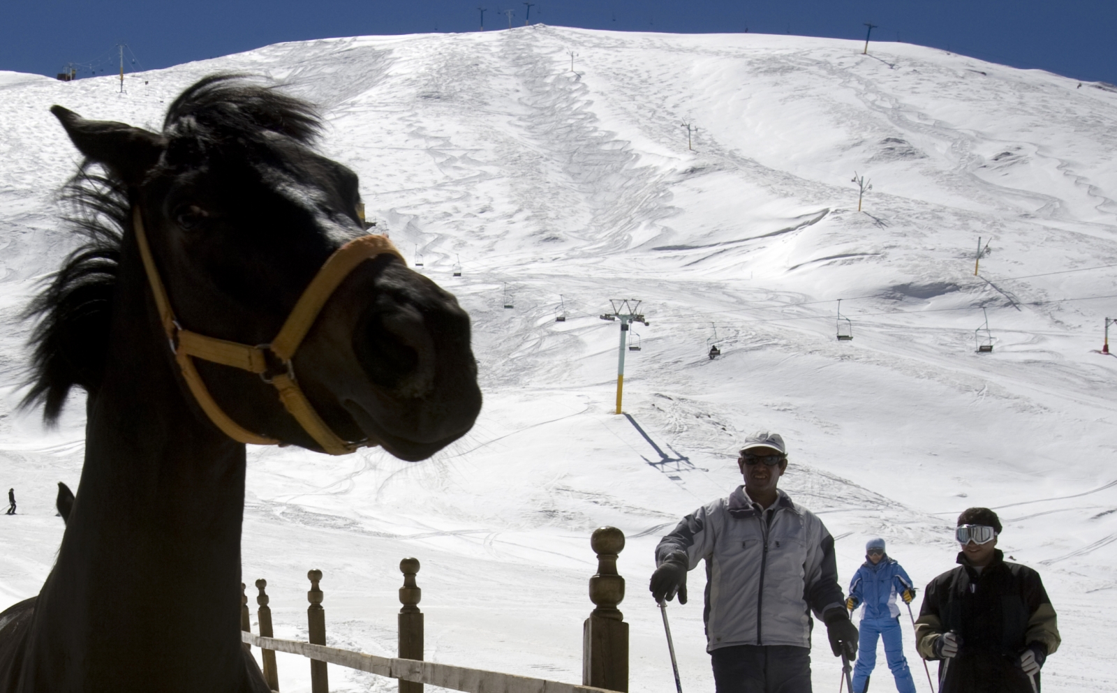 Iran Skiing Shemshak