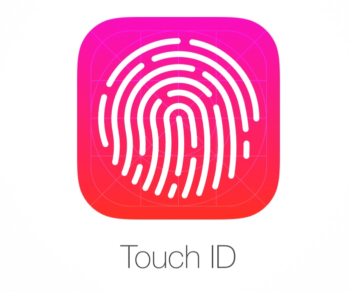 mac os big sur touch id not working