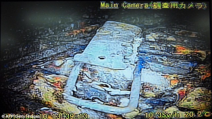 First images from inside Fukushmia reactor