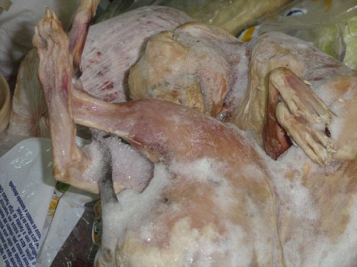 Dog meat used for pasty filling