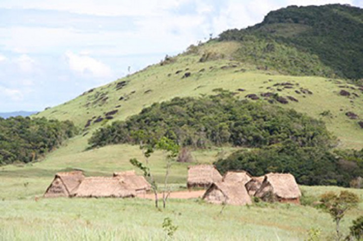 Yanomami antibiotic resistance