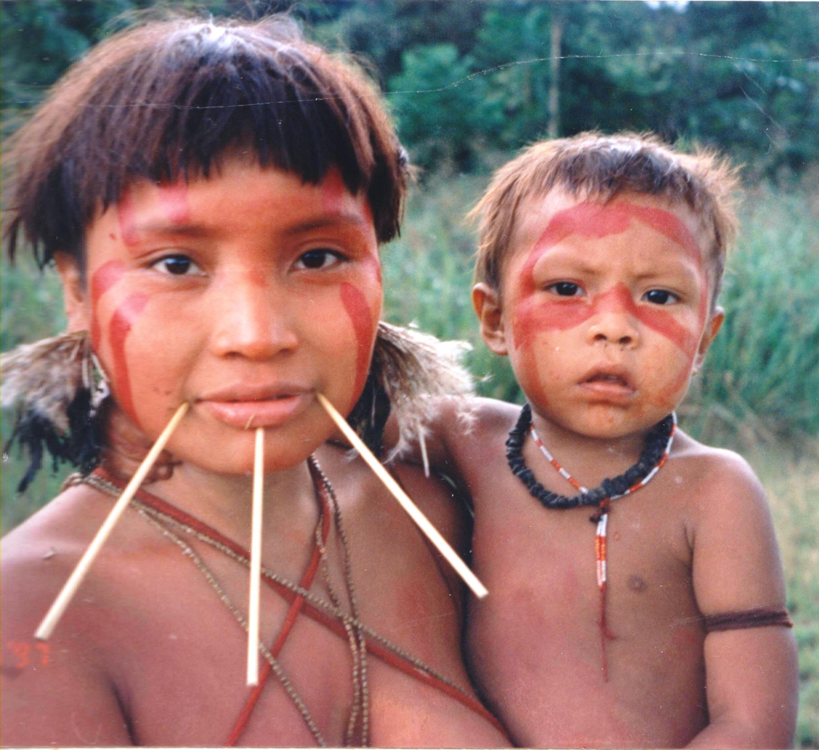 South American Tribes On Verge Of Extinction Due To -5433