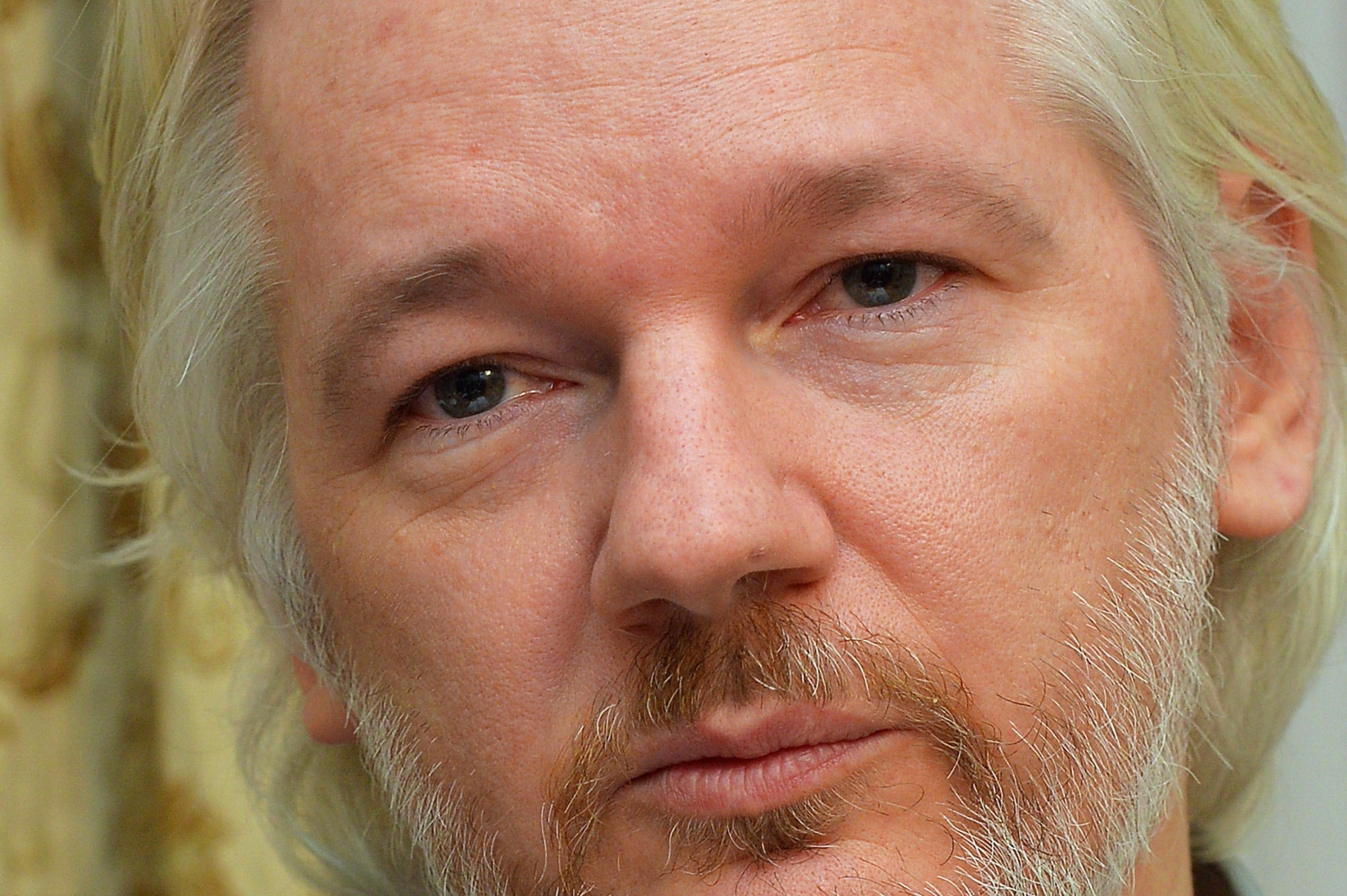 Julian Assange's Hair Evolution - wide 8