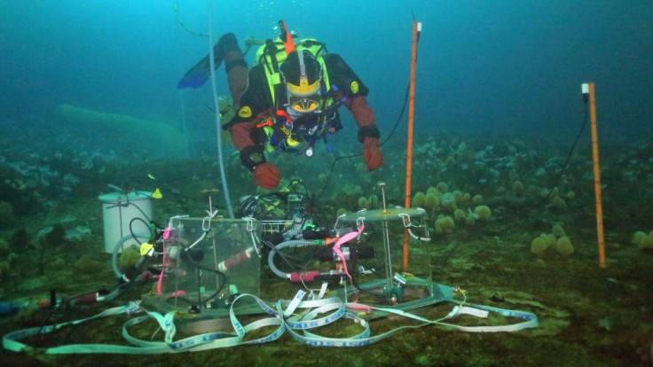 Antarctic ocean seafloor