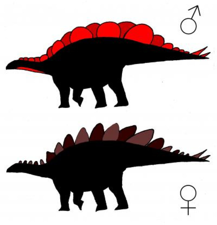 Stegosaurus mjosi