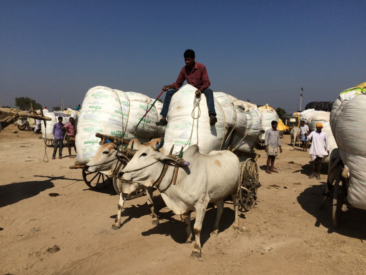 Cotton farmers in Telengana