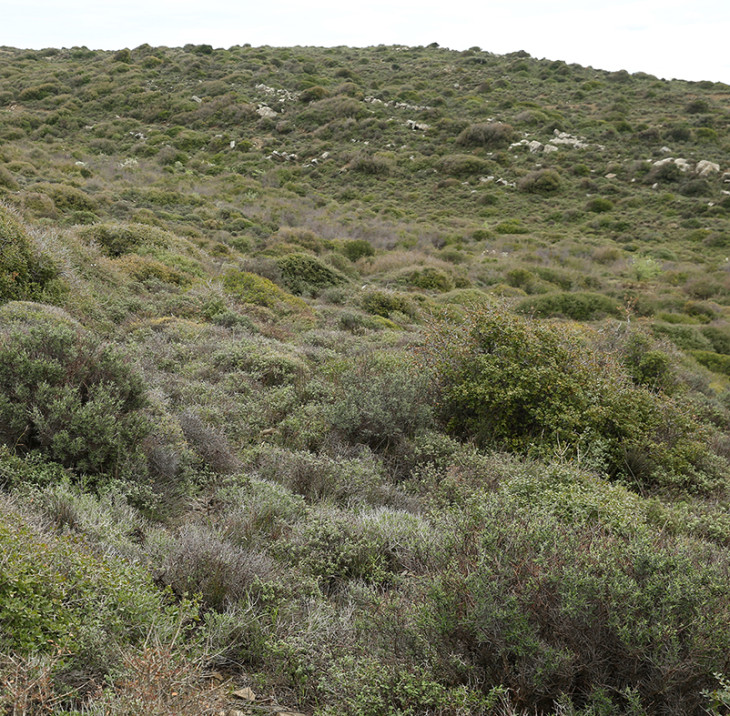 Gallipoli then and now 1915 2015 Gallipoli then and now 1915 2015
