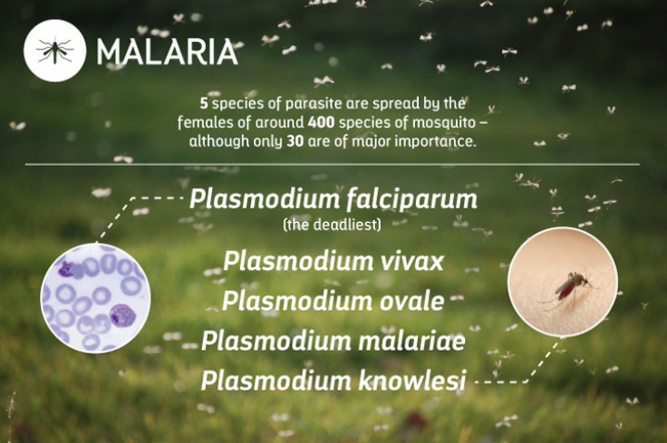 malaria in numbers