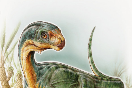 Chilesaurus dinosaur