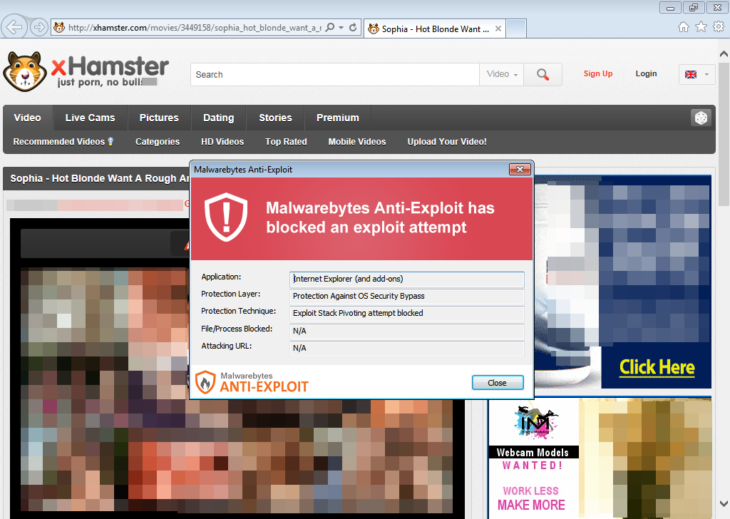 1024px x 728px - xHamster and other porn sites hit by massive malware attack