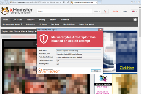 xhamster porn cyber attack malware