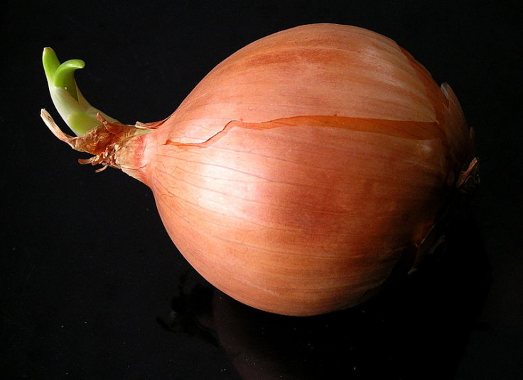 onion artificial muscle