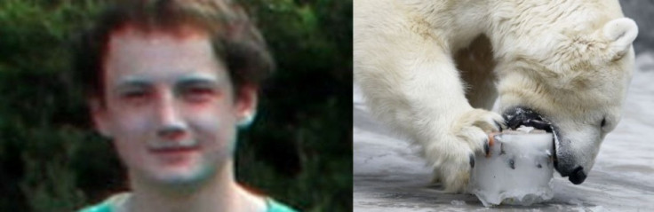 shocking Ordeal: 17-year old Killed by Polar Bear in the Arctic. shocking Ordeal: 17-year old Killed by Polar Bear in the Arctic.