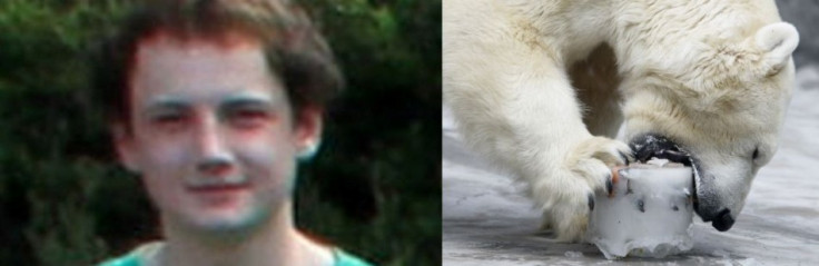 shocking Ordeal: 17-year old Killed by Polar Bear in the Arctic.