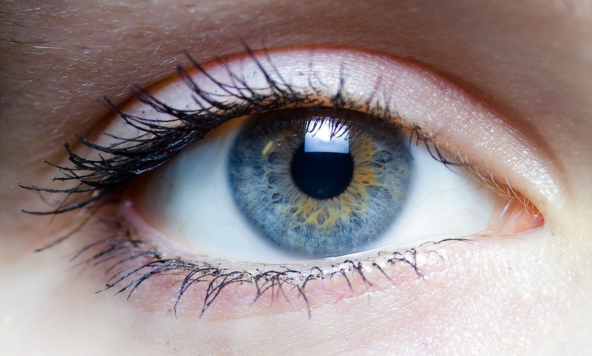 Bionic lenses make eyesight 3 times better than 20/20 and could ...