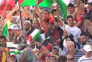 Palestine football fans