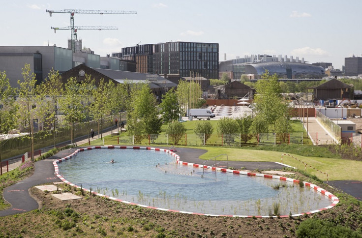 king's cross public swimming pool