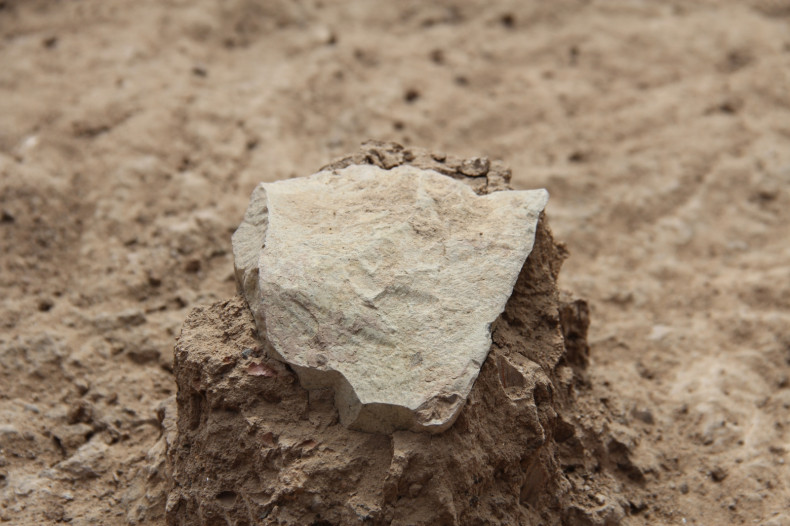 world's oldest stone tools