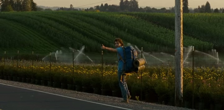 Into The Wild