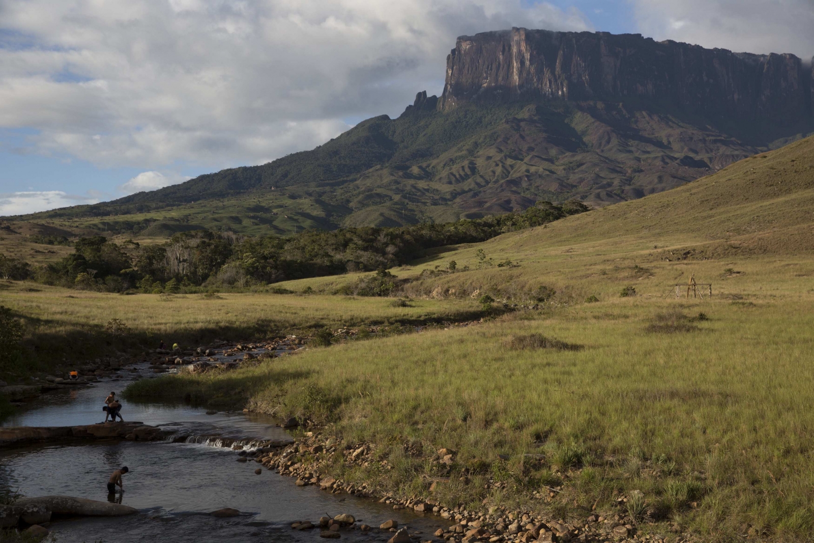 Global warming: Semi-arid zones play crucial role in controlling carbon