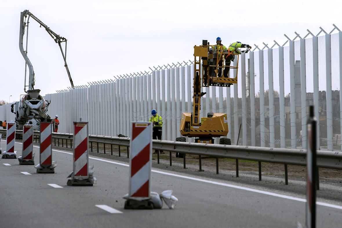 Calais migrants