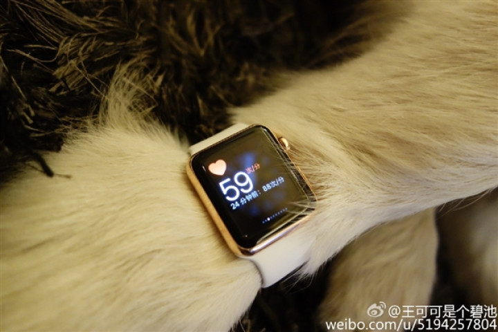 Apple Watch Editions owned by Chinese billionair'sdog Apple Watch Editions owned by Chinese billionair'sdog