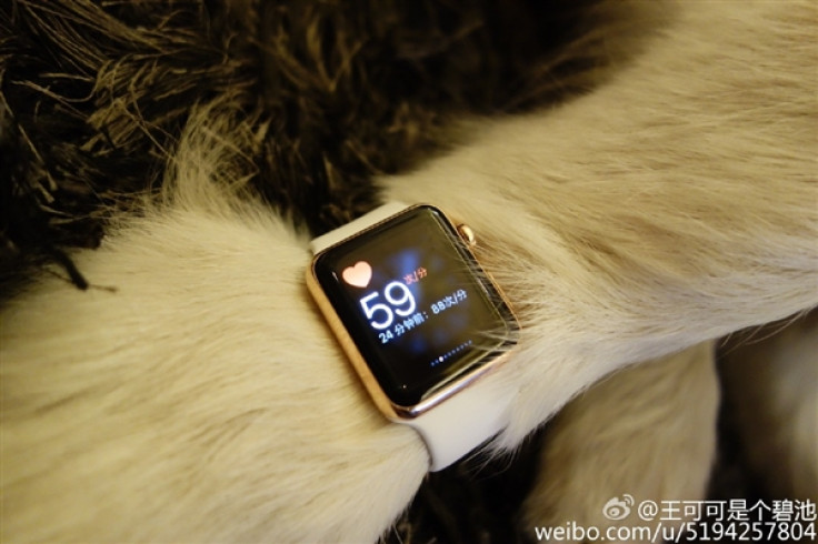 Apple Watch Editions owned by Chinese billionair'sdog