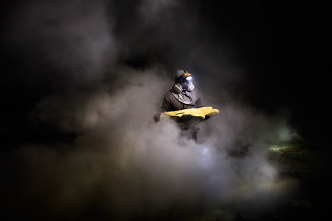 Environmental Photographer of the Year