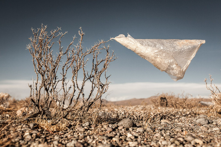 Environmental Photographer of the Year