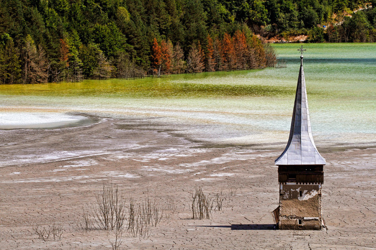 Environmental Photographer of the Year