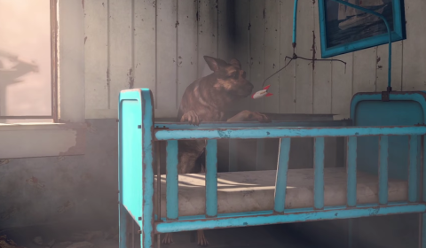 Fallout 4 screenshot dog